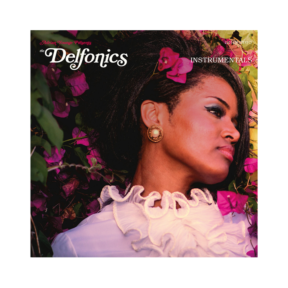 邦楽 D.L THE ALBUM (ADMONITIONS) INSTRUMENTAL 邦楽 D.L. - THE ALBUM (ADMONITIONS) 2LP D.L. / The Album